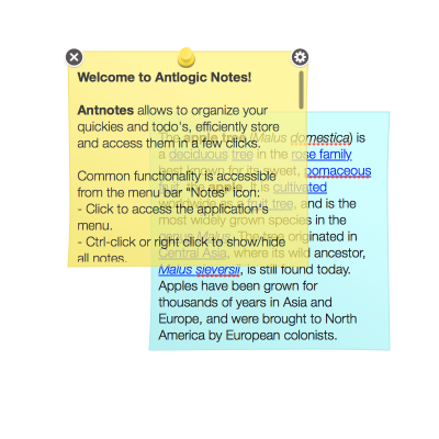 antnotes interface